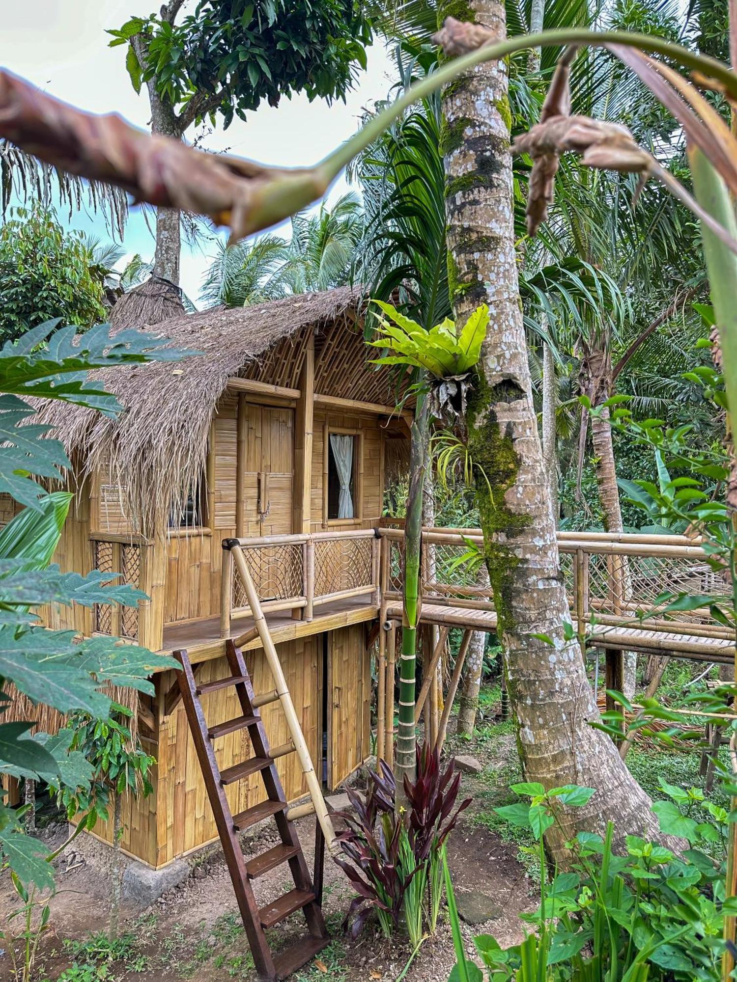 Kawig Bamboo House - Ricefield View, Eco Bamboo Home Tampaksiring المظهر الخارجي الصورة