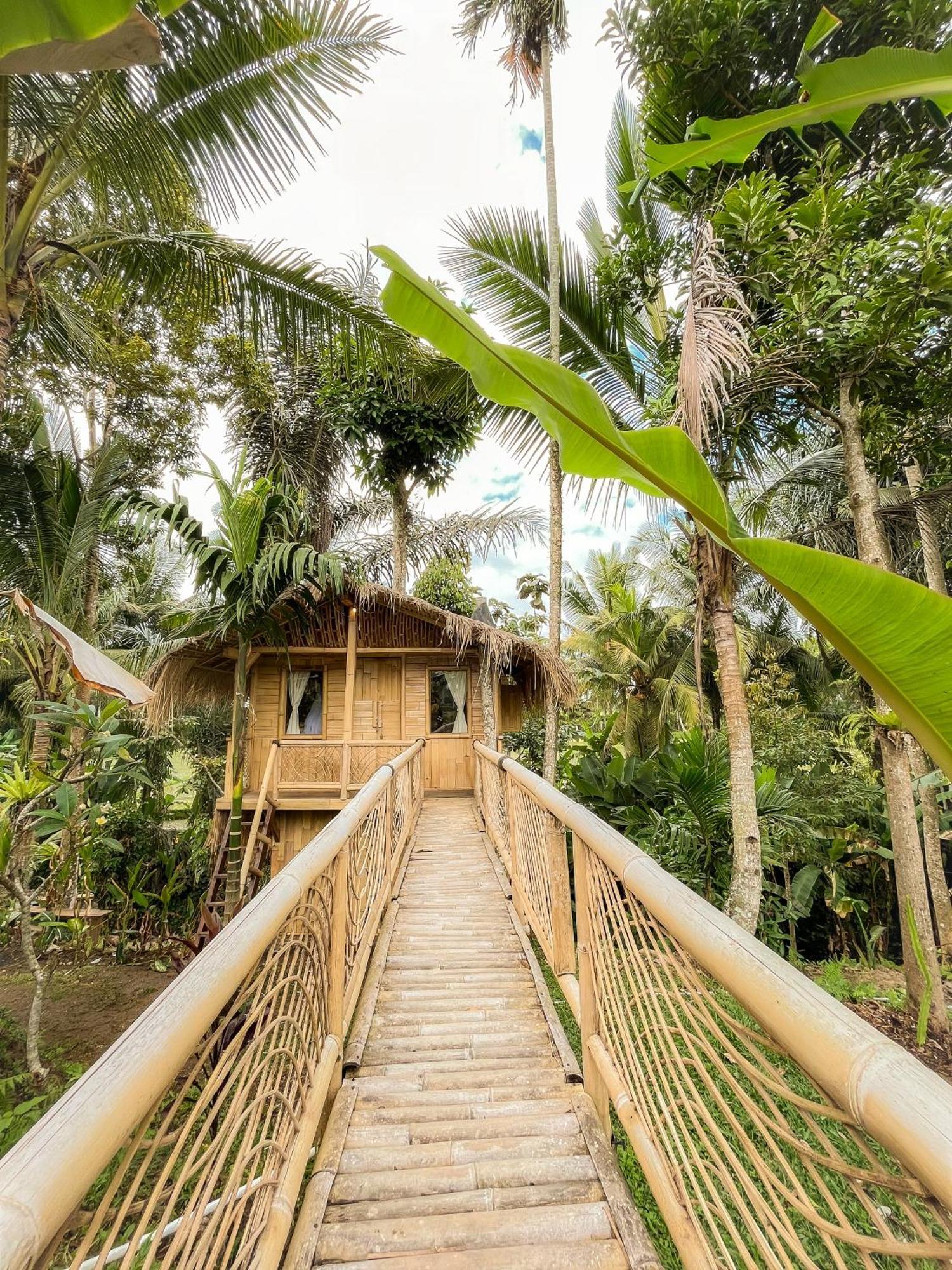 Kawig Bamboo House - Ricefield View, Eco Bamboo Home Tampaksiring المظهر الخارجي الصورة