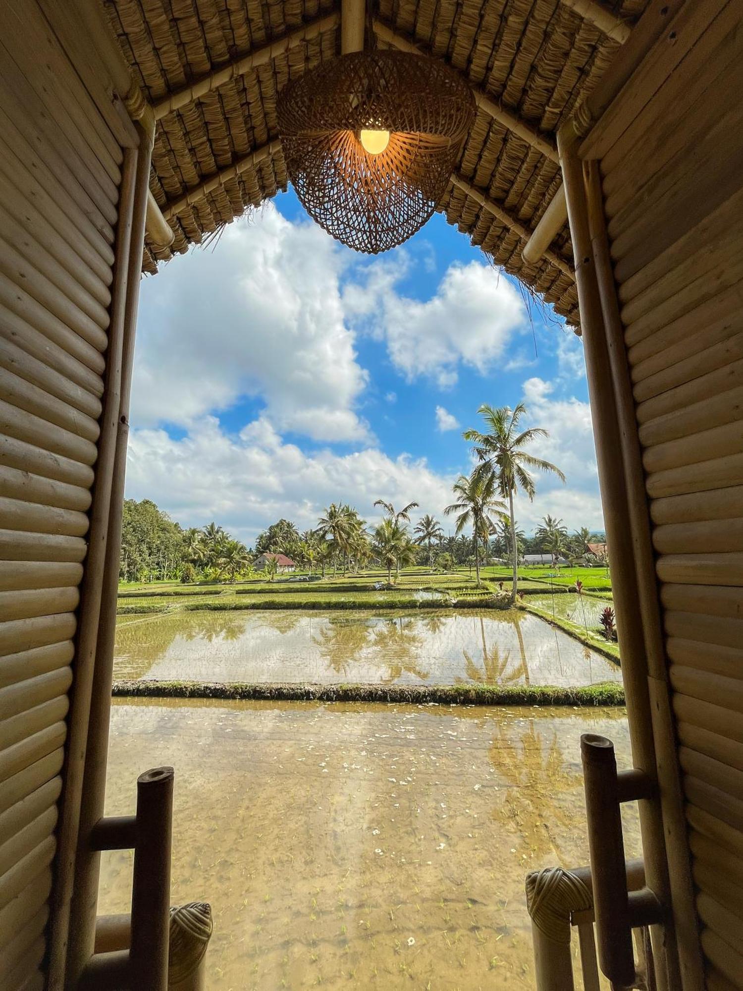 Kawig Bamboo House - Ricefield View, Eco Bamboo Home Tampaksiring المظهر الخارجي الصورة