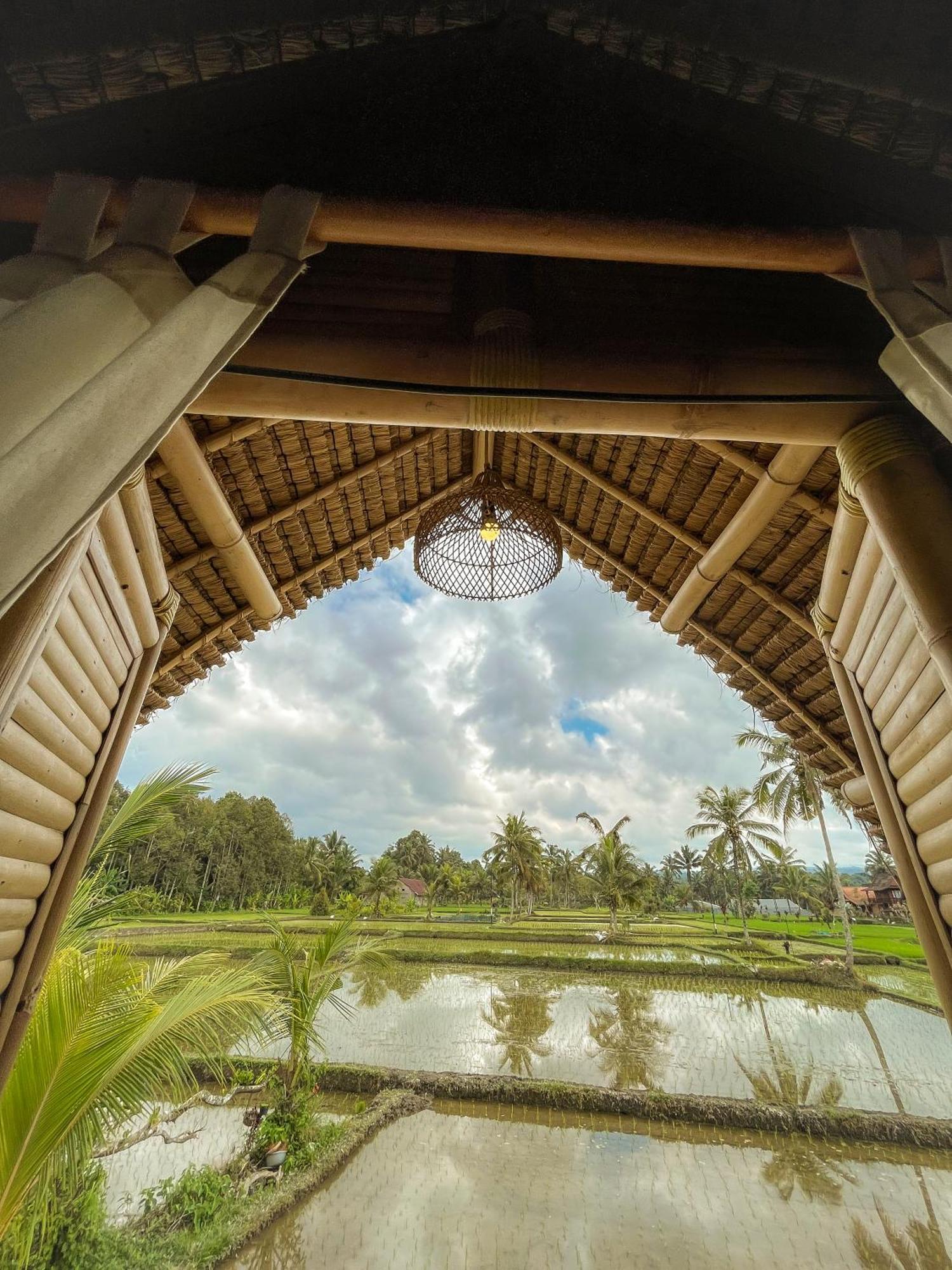 Kawig Bamboo House - Ricefield View, Eco Bamboo Home Tampaksiring المظهر الخارجي الصورة