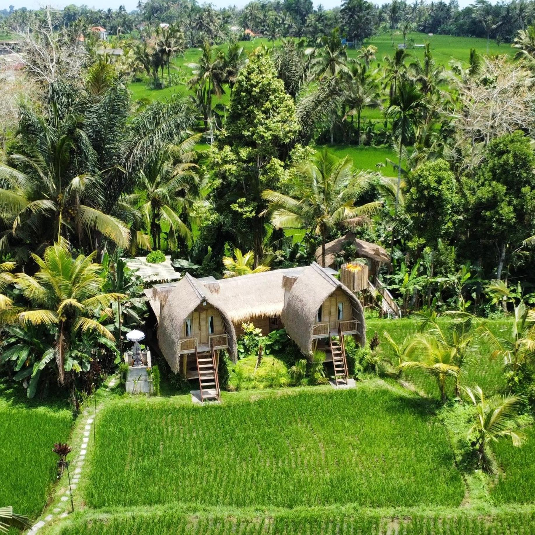 Kawig Bamboo House - Ricefield View, Eco Bamboo Home Tampaksiring المظهر الخارجي الصورة