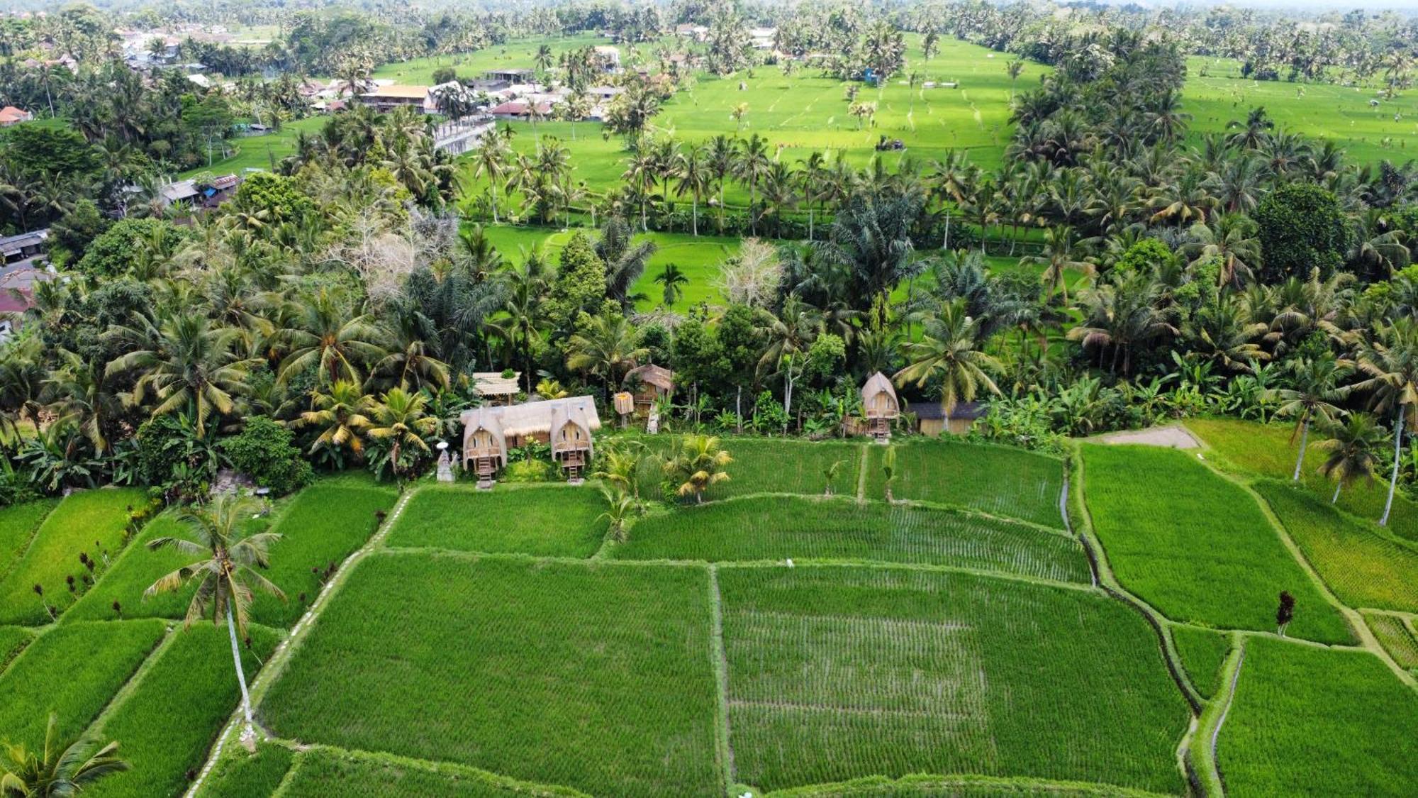 Kawig Bamboo House - Ricefield View, Eco Bamboo Home Tampaksiring المظهر الخارجي الصورة