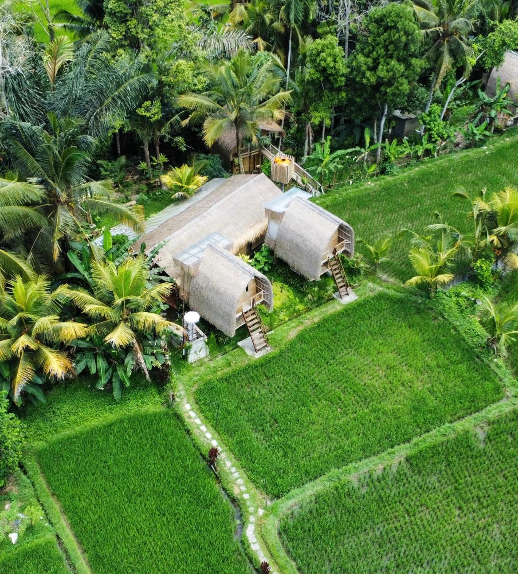 Kawig Bamboo House - Ricefield View, Eco Bamboo Home Tampaksiring المظهر الخارجي الصورة